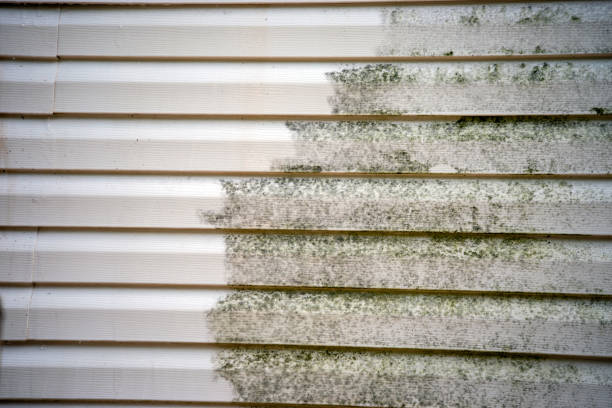 Best Carpet Removal and Disposal  in New Pek, IN